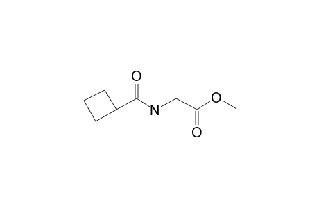 Glycine, N-cyclobutylcarbonyl-, methyl ester