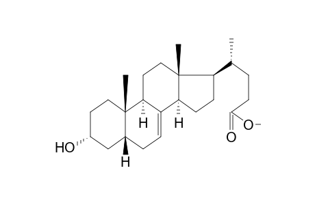 3-HYDROXY-METHYL-5-BETA-CHOL-7-ENOATE