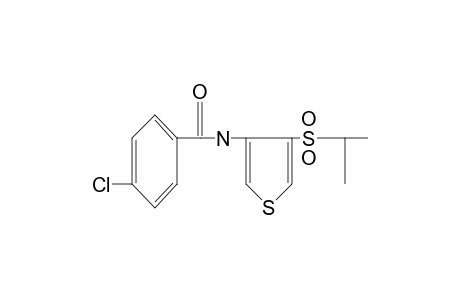 p-chloro-N-[4-(isopropylsulfonyl)-3-thienyl]benzamide