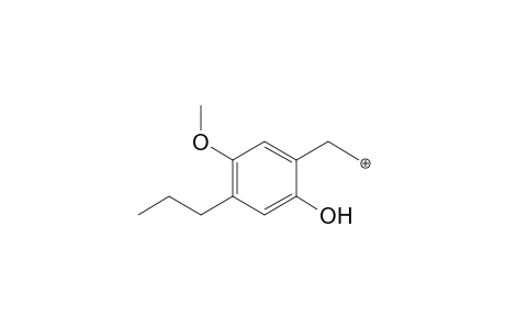 2C-P-M (O-demethyl-glucuronide) MS3_2