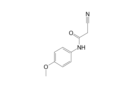 2-cyano-p-acetanisidide