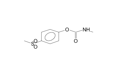 PARA-METHYLSULPHONYLPHENYL-N-METHYLCARBAMATE