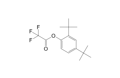 2,4-di-Tert-butylphenol, trifluoroacetate ester