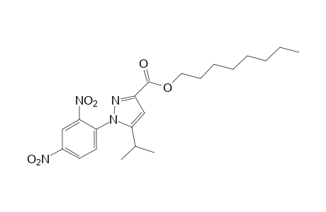 1-(2,4-dinitrophenyl)-5-isopropylpyrazole-3-carboxylic acid, octyl ester