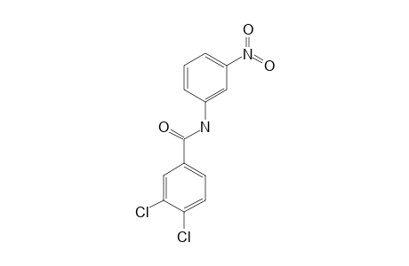 3,4-dichloro-3'-nitrobenzanilide