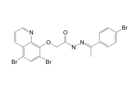 (E)-N'-(1-(4-bromophenyl)ethylidene)-2-((5,7-dibromoquinolin-8-yl)oxy)acetohydrazide