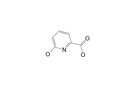 6-Hydroxypicolinic acid