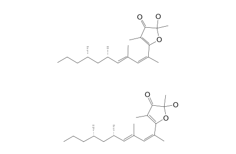 6-Z,8-E-DELTA-(8)-SIPHONARIENFURANONE;MIXTURE_OF_ISOMERS