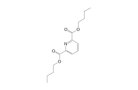 2,6-pyridinedicarboxylic acid, dibutyl ester