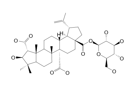 HOVETRICHOSIDE-H;2-ALPHA-CARBOXY-3-BETA-HYDROXY-3-(2->1)-ABEOLUP-20(29)-EN-27,28-DIOIC-ACID-28-O-BETA-D-GLUCOPYRANOSIDE