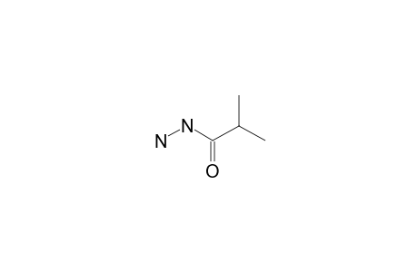 Isobutyric-acid, hydrazide