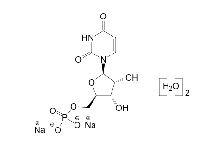 URIDINE 5'-PHOSPHATE, DISODIUM SALT, DIHYDRATE