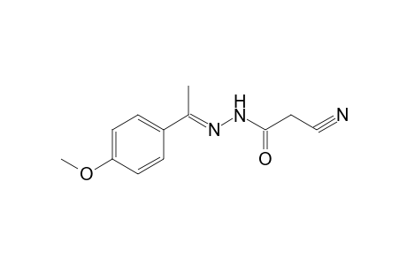 2-Cyano-N'-[(E)-1-(4-methoxyphenyl)ethylidene]acetohydrazide