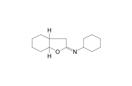 Cyclohexyl-(octahydrobenzofuran-2-ylidene)-amine