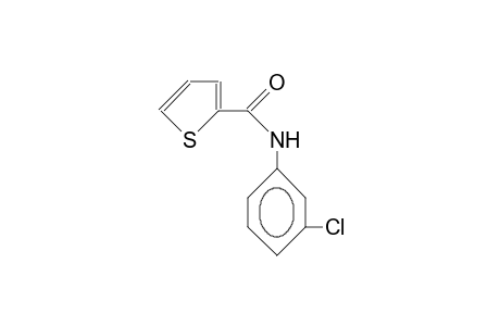 N-(3-CHLOROPHENYL)-2-THIENAMIDE