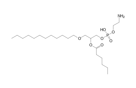 PE O-12:0_6:0