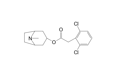 Tropine, 2,6-dichlorophenylacetate