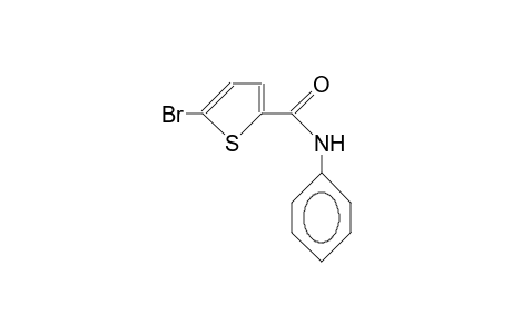 5-bromo-N-phenylthiophene-2-carboxamide