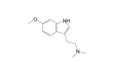 6-methoxy DMT