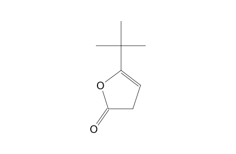 5-tert-BUTYL-2(3H)-FURANONE