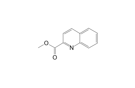 2-Quinolinecarboxylic acid methyl ester