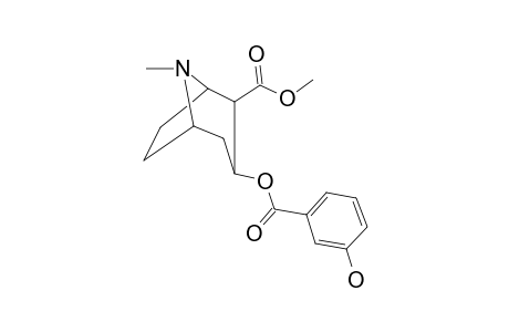 m-Hydroxycocaine