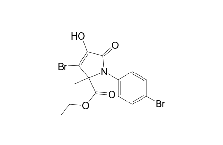 3-Bromo-1-(4-bromophenyl)-4-hydroxy-2-methyl-5-oxo-2-pyrrolecarboxylic acid ethyl ester