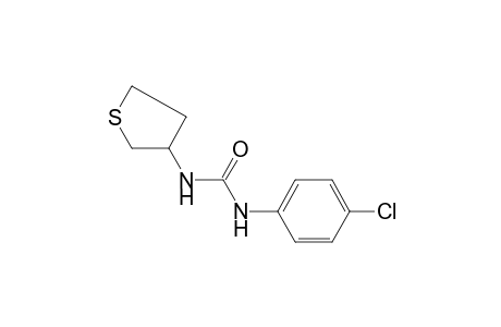 1-(p-chlorophenyl)-3-(tetrahydro-3-thienyl)urea