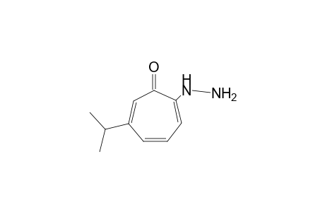 2-hydrazino-6-isopropyl-2,4,6-cycloheptatrien-1-one