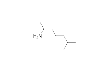 1,5-Dimethylhexylamine