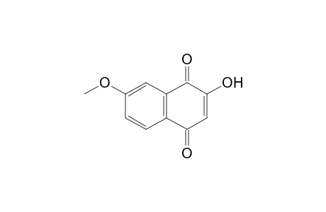2-Hydroxy-7-methoxy-1,4-naphthoquinone