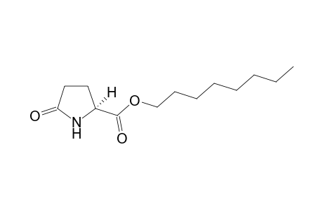 n-Octyl L-2-pyrrolidinone-5-carboxylate