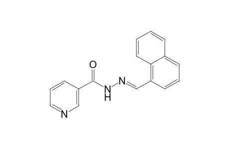 nicotinic acid, [(1-naphthyl)methylene]hydrazide