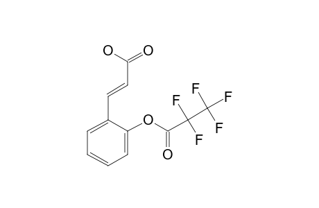 Trans-2-hydroxycinnamic acid, o-pentafluoropropionyl-