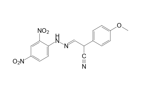 2-(p-methoxyphenyl)malonaldehydonitrile, (2,4-dinitrophenyl)hydrazone