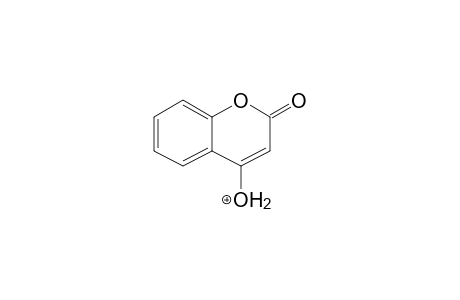 Warfarin MS3_2