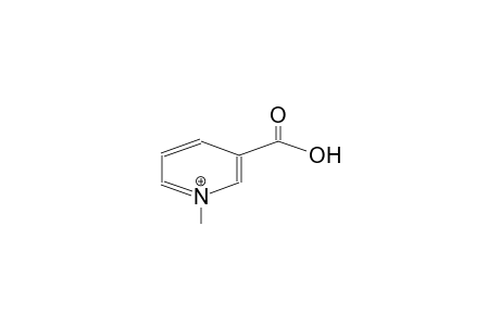 Trigonelline