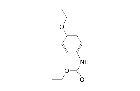 Carbamic acid, (4-ethoxyphenyl)-, ethyl ester