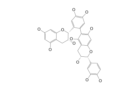 EPICATECHIN-(6'->6)-EPICATECHIN