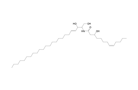 Cer 24:1;2O/13:1;(3OH)