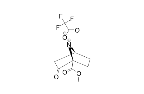 (1S,4R)-7-AZABICYCLO-[2.2.1]-HEPTAN-2-ONE-1-CARBOXYLIC-ACID-METHYLESTER-TRIFLUOROACETATE-SALT