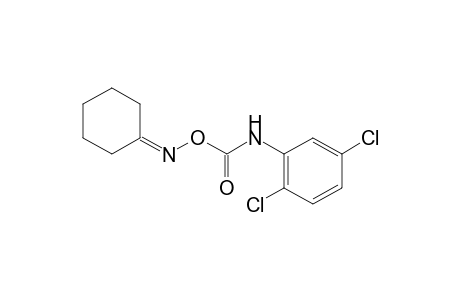 cyclohexanone, O-[(2,5-dichlorophenyl)carbamoyl]oxime