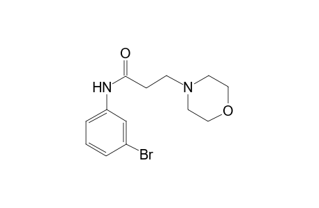 N-(3-Bromo-phenyl)-3-morpholin-4-yl-propionamide