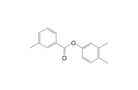 3-Methylbenzoic acid, 3,4-dimethylphenyl ester