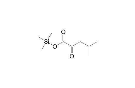 2-keto-4-methyl-valeric acid trimethylsilyl ester