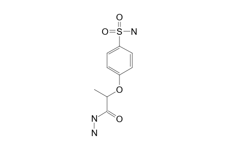 2-(p-sulfamoylphenoxy)propionic acid, hydrazide