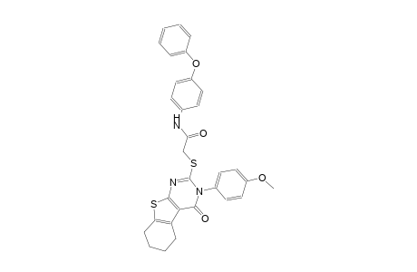 2-{[3-(4-methoxyphenyl)-4-oxo-3,4,5,6,7,8-hexahydro[1]benzothieno[2,3-d]pyrimidin-2-yl]sulfanyl}-N-(4-phenoxyphenyl)acetamide