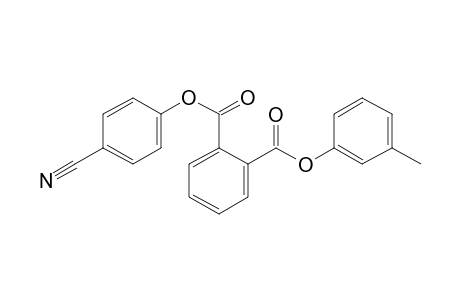 Phthalic acid, 4-cyanophenyl 3-methylphenyl ester