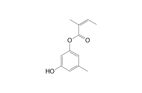 Orcinyl angelate