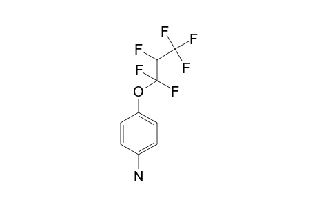 4-(2H-PERFLUOROPROPOXY)-ANILINE